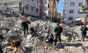 Việt Nam hỗ trợ khẩn cấp Thổ Nhĩ Kỳ, Syria khắc phục hậu quả động đất