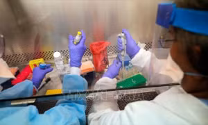 Australia phát hiện hợp chất có thể kiềm chế sự phát triển của virus SARS-CoV-2