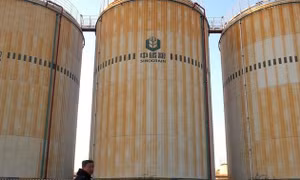 Trung Quốc phạt Sinograin vì vận chuyển dầu ăn bằng xe bồn lẫn hóa chất
