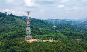 Ứng phó bão số 3: Ưu tiên đảm bảo an toàn đường dây 500kV Lào Cai - Vĩnh Yên
