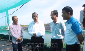 Bến Tre quản lý chặt tàu cá khi xuất, cập bến