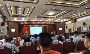 Hơn 700 hồ sơ tham gia đấu giá 30 thửa đất tại huyện Phúc Thọ (Hà Nội)