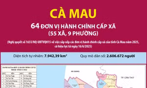 64 đơn vị hành chính cấp xã của tỉnh Cà Mau năm 2025