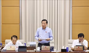 Phiên họp thứ 46 Ủy ban Thường vụ Quốc hội: Làm rõ tích hợp quy hoạch để không xảy ra mâu thuẫn chồng chéo