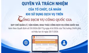 Quyền và trách nhiệm của tổ chức, cá nhân khi sử dụng dịch vụ trên Cổng Dịch vụ công quốc gia