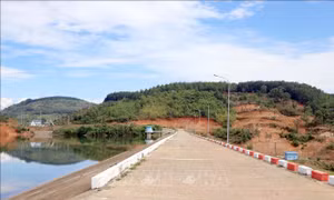 Lên phương án điều tiết, phòng chống khô hạn cho khoảng 1.500 ha cây trồng