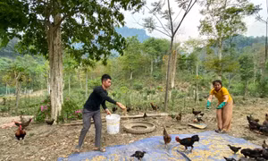 Gieo vốn nơi ‘cuối trời’ xứ Nghệ