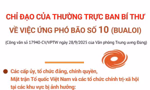 Chỉ đạo của Thường trực Ban Bí thư về việc ứng phó bão số 10 (Bualoi)