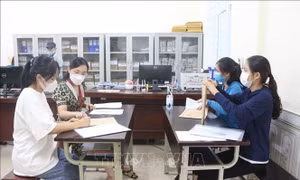 Đưa Nghệ An thành trung tâm khu vực Bắc Trung Bộ về giáo dục và đào tạo
