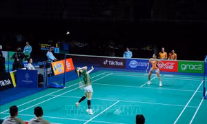 SEA Games 33: Đội tuyển bóng chày và cầu lông của Việt Nam khởi đầu nhọc nhằn