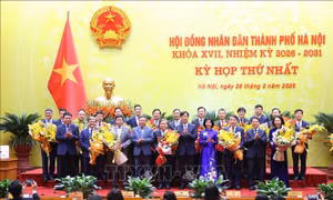 Thủ tướng Chính phủ phê chuẩn kết quả bầu Chủ tịch, Phó Chủ tịch UBND cấp tỉnh nhiệm kỳ 2026-2031 
