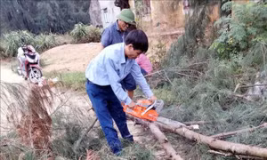 Hà Tĩnh: Kiểm tra, rà soát các vị trí có nguy cơ cao về lũ quét, sạt lở đất, ngập lụt sâu