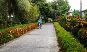 Công nhận huyện Cao Lãnh (Đồng Tháp) đạt chuẩn nông thôn mới nâng cao