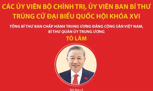 Các Ủy viên Bộ Chính trị, Ủy viên Ban Bí thư trúng cử đại biểu Quốc hội khóa XVI