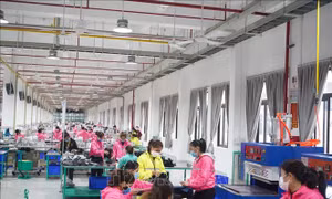 Nghệ An: Công nhân Công ty Trách nhiệm hữu hạn Viet Glory đã đi làm trở lại