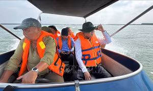 Lên phương án xử lý dứt điểm nuôi cá lồng bè trái phép trên lòng hồ Dầu Tiếng