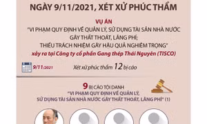 Xét xử phúc thẩm vụ Công ty Gang thép Thái Nguyên