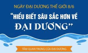 Ngày Đại dương thế giới 8/6: 'Hiểu biết sâu sắc hơn về đại dương'