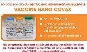 Cần tiếp tục thực hiện đánh giá hiệu lực bảo vệ của vaccine Nano Covax