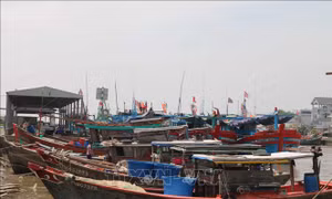 Giữ sinh kế bền vững cho nghề cá