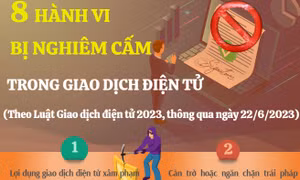 8 hành vi bị nghiêm cấm trong giao dịch điện tử