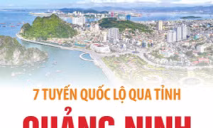 7 tuyến Quốc lộ qua tỉnh Quảng Ninh