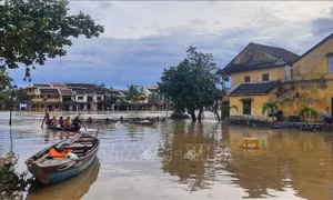 Hỗ trợ người dân Quảng Nam và Quảng Ngãi bị ảnh hưởng do bão Noru