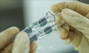 Campuchia thông báo triển khai tiêm vaccine ngừa COVID-19