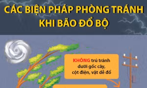 Các biện pháp phòng tránh khi bão đổ bộ