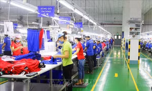 Tăng cường cơ hội hợp tác về đổi mới sáng tạo cho doanh nghiệp Singapore và Việt Nam