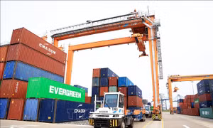 Xây dựng Nghị định sửa đổi quy định về quản lý hoạt động hàng hải