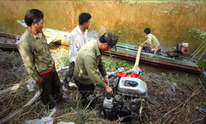 Cảnh báo hơn 3.300 ha rừng ở Cà Mau có nguy cơ cháy cực kỳ nguy hiểm