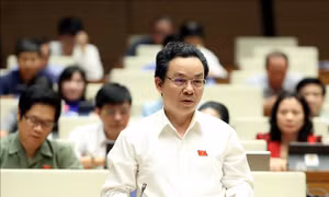 Tạo liên kết giữa doanh nghiệp trong nước với nhà đầu tư nước ngoài