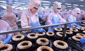 Diễn đàn doanh nghiệp Việt Nam - Áo