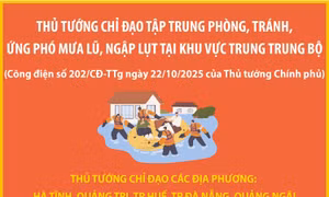 Tập trung phòng, tránh, ứng phó mưa lũ, ngập lụt tại khu vực Trung Trung Bộ