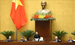  Trình Quốc hội miễn nhiệm Chủ tịch Quốc hội, Chủ tịch Hội đồng Bầu cử Quốc gia
