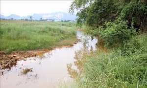 Tín hiệu tích cực từ dòng Nậm Tôn