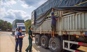 Siết kiểm soát biên giới, Tây Ninh quyết đấu tranh với buôn lậu, hàng giả