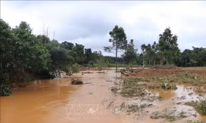 Tập trung đảm bảo an toàn dân cư khu vực hạ du và công trình Thủy điện Đắk Kar