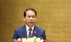 Phiên họp toàn thể lần thứ 32 Ủy ban Pháp luật của Quốc hội