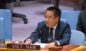 Việt Nam kêu gọi đối thoại và trung gian hòa giải nhằm thúc đẩy hòa bình bền vững ở Trung Đông
