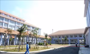 Để người dân tiếp cận dịch vụ y tế chất lượng từ cơ sở