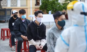 Đà Nẵng xét nghiệm COVID-19 cho tất cả thanh niên sắp lên đường nhập ngũ