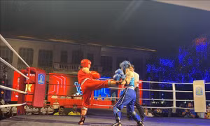 Khai mạc giải vô địch Kickboxing các đội mạnh toàn quốc năm 2024 