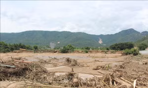 Hơn 6,7 tỷ đồng hỗ trợ người dân sau vụ vỡ hồ chứa tại Tuy Phong (Lâm Đồng)