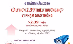 6 tháng năm 2026: Xử lý hơn 2,39 triệu trường hợp vi phạm giao thông