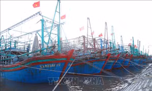 Nghệ An: Cấm các loại tàu thuyền ra khơi từ 5 giờ ngày 27/9