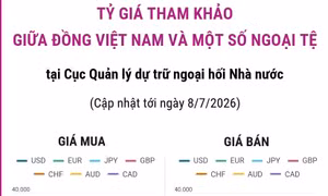 Tỷ giá tham khảo giữa đồng Việt Nam và một số ngoại tệ ngày 8/7/2026