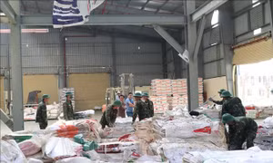Gấp rút khôi phục sản xuất sau bão số 13