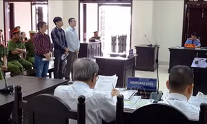 Làm giả giấy tờ, nhập lậu xe ô tô, các đối tượng lãnh án